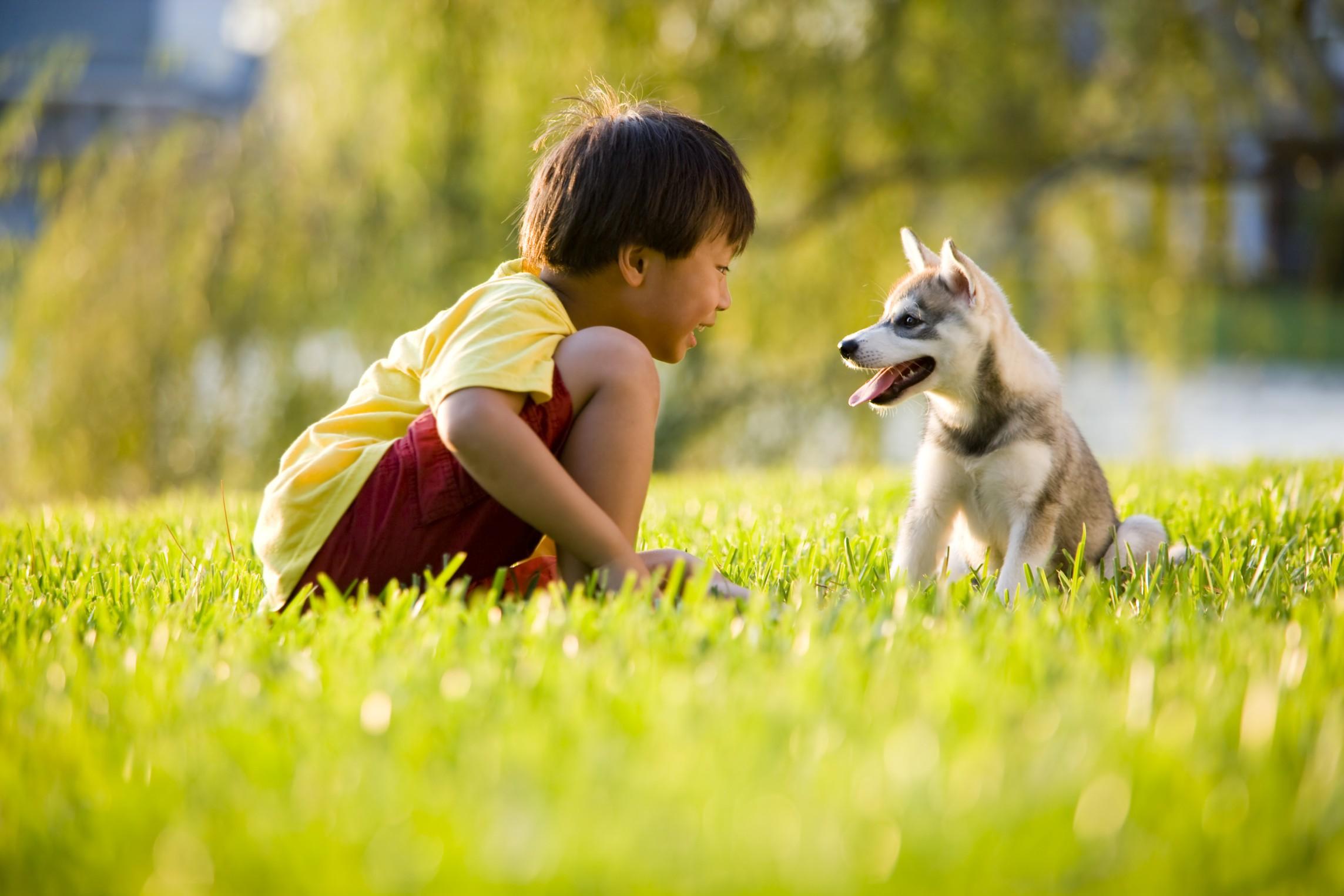 bimbini e cani