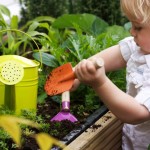 toddler gardening